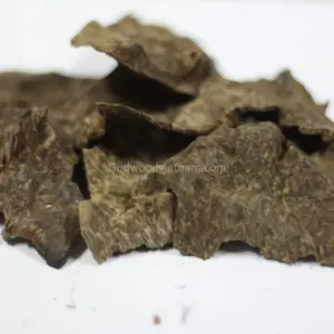 會安沉香木片 |多伊德A | A++ 級 | 20克