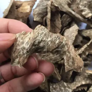 Phuc Trach 烏木沉香錠 | A級| 50克